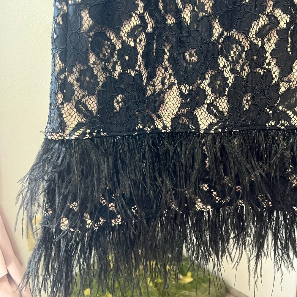 Aidan by Aidan Mattox Cap Sleeve Lace Cocktail Dress with Feather Trim in Black - Picture 12 of 15